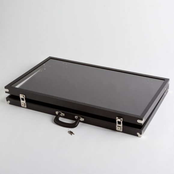 Large Clear Cover Black Display Case
