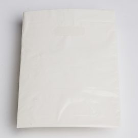Small White Low Density Plastic Bag